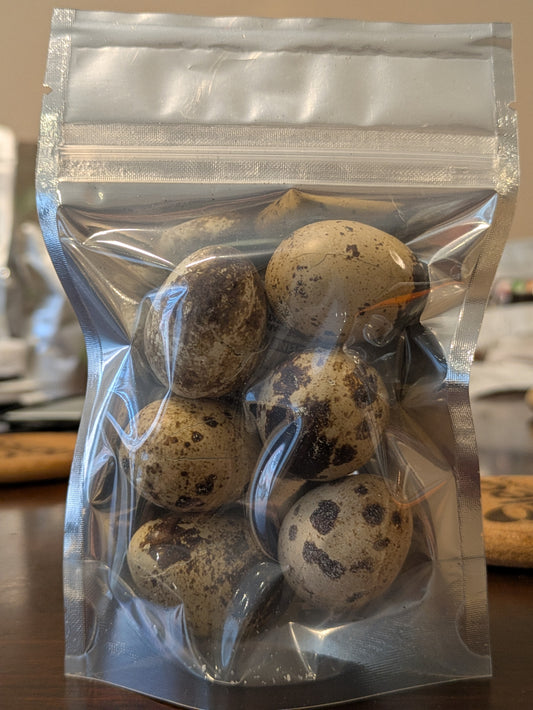 Quail Egg Quest — The Treat, Toy & Puzzle… All in One